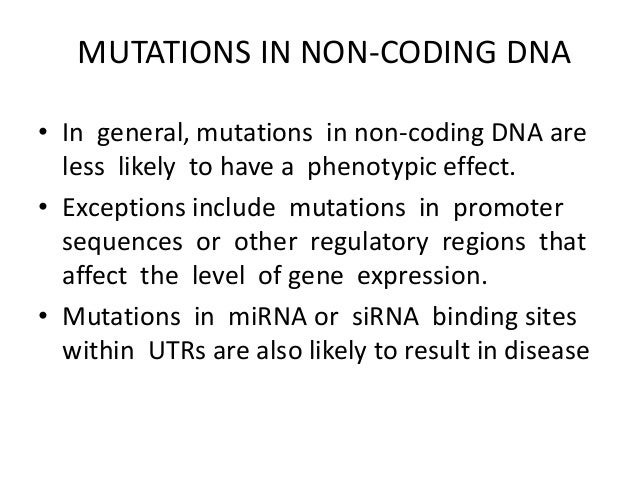 Noncoding Mutations Contribute To >> Mutations And Mutagenesis Mph 19 1 15 Noncoding Mutations Contribute To >> Mutations And Mutagenesis Mph 19 1 15