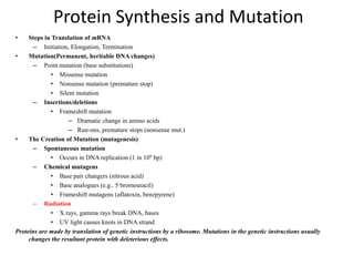 Mutations ariane | PPTX
