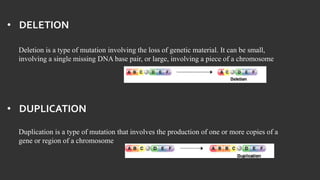 • DELETION
Deletion is a type of mutation involving the loss of genetic material. It can be small,
involving a single missing DNA base pair, or large, involving a piece of a chromosome
• DUPLICATION
Duplication is a type of mutation that involves the production of one or more copies of a
gene or region of a chromosome
 
