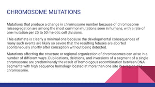 CHROMOSOME MUTATIONS
Mutations that produce a change in chromosome number because of chromosome
missegregation are among the most common mutations seen in humans, with a rate of
one mutation per 25 to 50 meiotic cell divisions.
This estimate is clearly a minimal one because the developmental consequences of
many such events are likely so severe that the resulting fetuses are aborted
spontaneously shortly after conception without being detected.
Mutations affecting the structure or regional organization of chromosomes can arise in a
number of different ways. Duplications, deletions, and inversions of a segment of a single
chromosome are predominantly the result of homologous recombination between DNA
segments with high sequence homology located at more than one site in a region of a
chromosome.
 