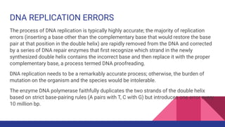 DNA REPLICATION ERRORS
The process of DNA replication is typically highly accurate; the majority of replication
errors (inserting a base other than the complementary base that would restore the base
pair at that position in the double helix) are rapidly removed from the DNA and corrected
by a series of DNA repair enzymes that ﬁrst recognize which strand in the newly
synthesized double helix contains the incorrect base and then replace it with the proper
complementary base, a process termed DNA proofreading.
DNA replication needs to be a remarkably accurate process; otherwise, the burden of
mutation on the organism and the species would be intolerable.
The enzyme DNA polymerase faithfully duplicates the two strands of the double helix
based on strict base-pairing rules (A pairs with T, C with G) but introduces one error every
10 million bp.
 