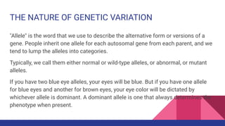 THE NATURE OF GENETIC VARIATION
"Allele" is the word that we use to describe the alternative form or versions of a
gene. People inherit one allele for each autosomal gene from each parent, and we
tend to lump the alleles into categories.
Typically, we call them either normal or wild-type alleles, or abnormal, or mutant
alleles.
If you have two blue eye alleles, your eyes will be blue. But if you have one allele
for blue eyes and another for brown eyes, your eye color will be dictated by
whichever allele is dominant. A dominant allele is one that always determines the
phenotype when present.
 