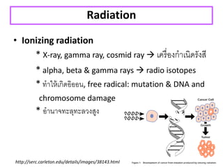 Mutation and DNA repair | PDF