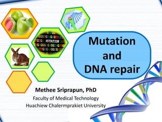 Methee Sriprapun, PhD 
Faculty of Medical Technology 
Huachiew Chalermprakiet University  