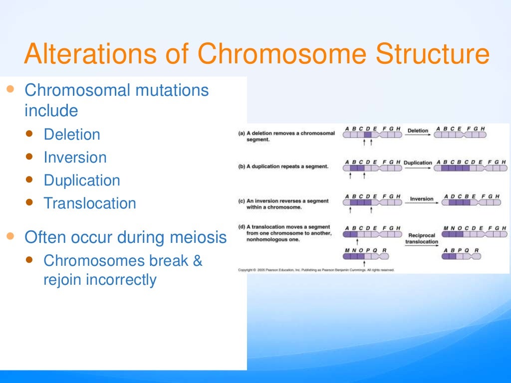 Mutations for ap bio