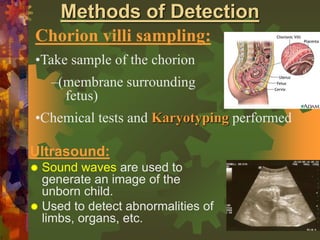 mutationsgeneticdisorders.ppt