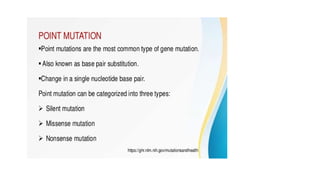 presentation on Mutation simplified.pptx