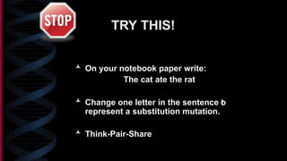 presentation on Mutation simplified.pptx