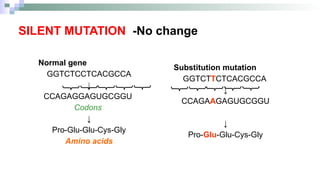 presentation on Mutation simplified.pptx
