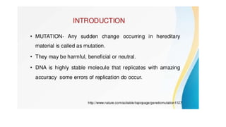 presentation on Mutation simplified.pptx