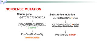 presentation on Mutation simplified.pptx