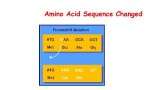 presentation on Mutation simplified.pptx