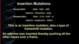 presentation on Mutation simplified.pptx