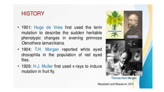 presentation on Mutation simplified.pptx