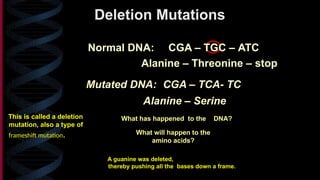 presentation on Mutation simplified.pptx