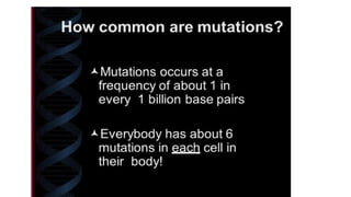 presentation on Mutation simplified.pptx