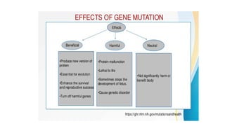 presentation on Mutation simplified.pptx