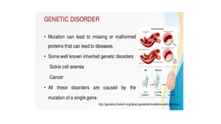 presentation on Mutation simplified.pptx