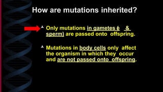 presentation on Mutation simplified.pptx