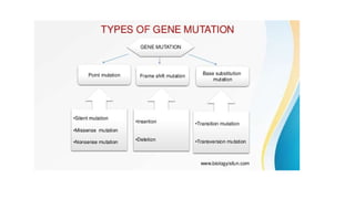 presentation on Mutation simplified.pptx
