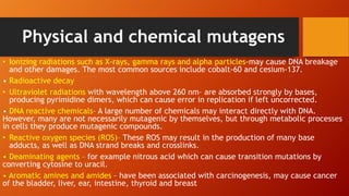 Physical and chemical mutagens
• Ionizing radiations such as X-rays, gamma rays and alpha particles-may cause DNA breakage
and other damages. The most common sources include cobalt-60 and cesium-137.
• Radioactive decay
• Ultraviolet radiations with wavelength above 260 nm– are absorbed strongly by bases,
producing pyrimidine dimers, which can cause error in replication if left uncorrected.
• DNA reactive chemicals– A large number of chemicals may interact directly with DNA.
However, many are not necessarily mutagenic by themselves, but through metabolic processes
in cells they produce mutagenic compounds.
• Reactive oxygen species (ROS)– These ROS may result in the production of many base
adducts, as well as DNA strand breaks and crosslinks.
• Deaminating agents – for example nitrous acid which can cause transition mutations by
converting cytosine to uracil.
• Aromatic amines and amides – have been associated with carcinogenesis, may cause cancer
of the bladder, liver, ear, intestine, thyroid and breast
 