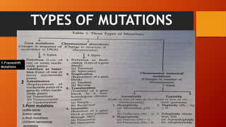 TYPES OF MUTATIONS
3.Point mutations
(a)Mis-sense
(b)Non-sense
(c)Null mutations
(d)Silent/samesense
mutations
1.Frameshift
Mutations
2.
 