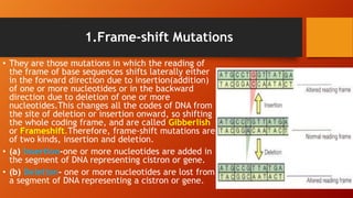 1.Frame-shift Mutations
• They are those mutations in which the reading of
the frame of base sequences shifts laterally either
in the forward direction due to insertion(addition)
of one or more nucleotides or in the backward
direction due to deletion of one or more
nucleotides.This changes all the codes of DNA from
the site of deletion or insertion onward, so shifting
the whole coding frame, and are called Gibberlish
or Frameshift.Therefore, frame-shift mutations are
of two kinds, insertion and deletion.
• (a) Insertion-one or more nucleotides are added in
the segment of DNA representing cistron or gene.
• (b) Deletion- one or more nucleotides are lost from
a segment of DNA representing a cistron or gene.
 
