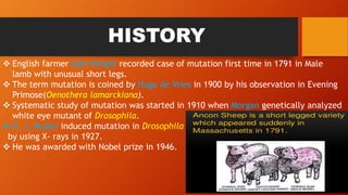 HISTORY
 English farmer Seth Wright recorded case of mutation first time in 1791 in Male
lamb with unusual short legs.
 The term mutation is coined by Hugo de Vries in 1900 by his observation in Evening
Primose(Oenothera lamarckiana).
 Systematic study of mutation was started in 1910 when Morgan genetically analyzed
white eye mutant of Drosophila.
 H. J. Muller induced mutation in Drosophila
by using X- rays in 1927.
 He was awarded with Nobel prize in 1946.
 