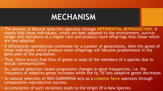 MECHANISM
• The process of Natural selection operates through DIFFERENTIAL REPRODUCTION. It
means that those individuals, which are best adapted to the environment, survive
longer and reproduce at a higher rate and produce more offsprings than those which
are less adapted.
• If differential reproduction continues for a number of generations, then the genes of
those individuals which produce more offsprings will become predominant in the
gene pool of the population.
• Thus, there occurs free flow of genes in most of the members of a species due to
sexual communication.
• So, natural selection causes progressive changes in gene frequencies, i.e. the
frequency of adaptive genes increases while the fq. Of less adaptive genes decreases
• So natural selection of NEO-DARWINISM acts as a creative force operates through
comparative reproductive success.
• Accumulation of such variations leads to the Origin Of A New Species.
 