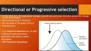 Directional or Progressive selection
• In this selection, the population changes towards one particular direction along with change
in the environment.
• One extreme trait is favoured
• So, the peak of the graph shifts in
• One direction.
• E.g. Industrial Melanism-no. of light-
• Coloured moths decreased
graduallly and melanic moths
increasesd
• DDT-Resistant Mosquitoes
 
