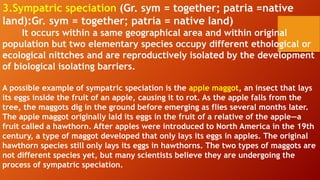 3.Sympatric speciation (Gr. sym = together; patria =native
land):Gr. sym = together; patria = native land)
It occurs within a same geographical area and within original
population but two elementary species occupy different ethological or
ecological nittches and are reproductively isolated by the development
of biological isolating barriers.
A possible example of sympatric speciation is the apple maggot, an insect that lays
its eggs inside the fruit of an apple, causing it to rot. As the apple falls from the
tree, the maggots dig in the ground before emerging as flies several months later.
The apple maggot originally laid its eggs in the fruit of a relative of the apple—a
fruit called a hawthorn. After apples were introduced to North America in the 19th
century, a type of maggot developed that only lays its eggs in apples. The original
hawthorn species still only lays its eggs in hawthorns. The two types of maggots are
not different species yet, but many scientists believe they are undergoing the
process of sympatric speciation.
 