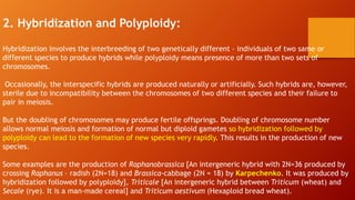 2. Hybridization and Polyploidy:
Hybridization involves the interbreeding of two genetically different – individuals of two same or
different species to produce hybrids while polyploidy means presence of more than two sets of
chromosomes.
Occasionally, the interspecific hybrids are produced naturally or artificially. Such hybrids are, however,
sterile due to incompatibility between the chromosomes of two different species and their failure to
pair in meiosis.
But the doubling of chromosomes may produce fertile offsprings. Doubling of chromosome number
allows normal meiosis and formation of normal but diploid gametes so hybridization followed by
polyploidy can lead to the formation of new species very rapidly. This results in the production of new
species.
Some examples are the production of Raphanobrassica [An intergeneric hybrid with 2N=36 produced by
crossing Raphanus – radish (2N=18) and Brassica-cabbage (2N = 18) by Karpechenko. It was produced by
hybridization followed by polyploidy], Triticale [An intergeneric hybrid between Triticum (wheat) and
Secale (rye). It is a man-made cereal] and Triticum aestivum (Hexaploid bread wheat).
 