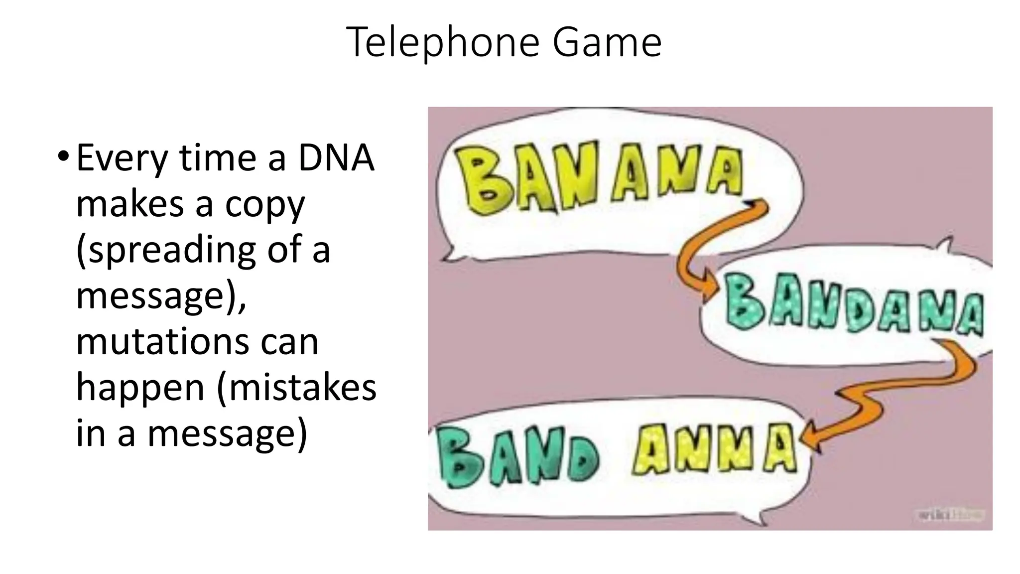 mutations ( types of mutation) point , missense , nonsense PPT