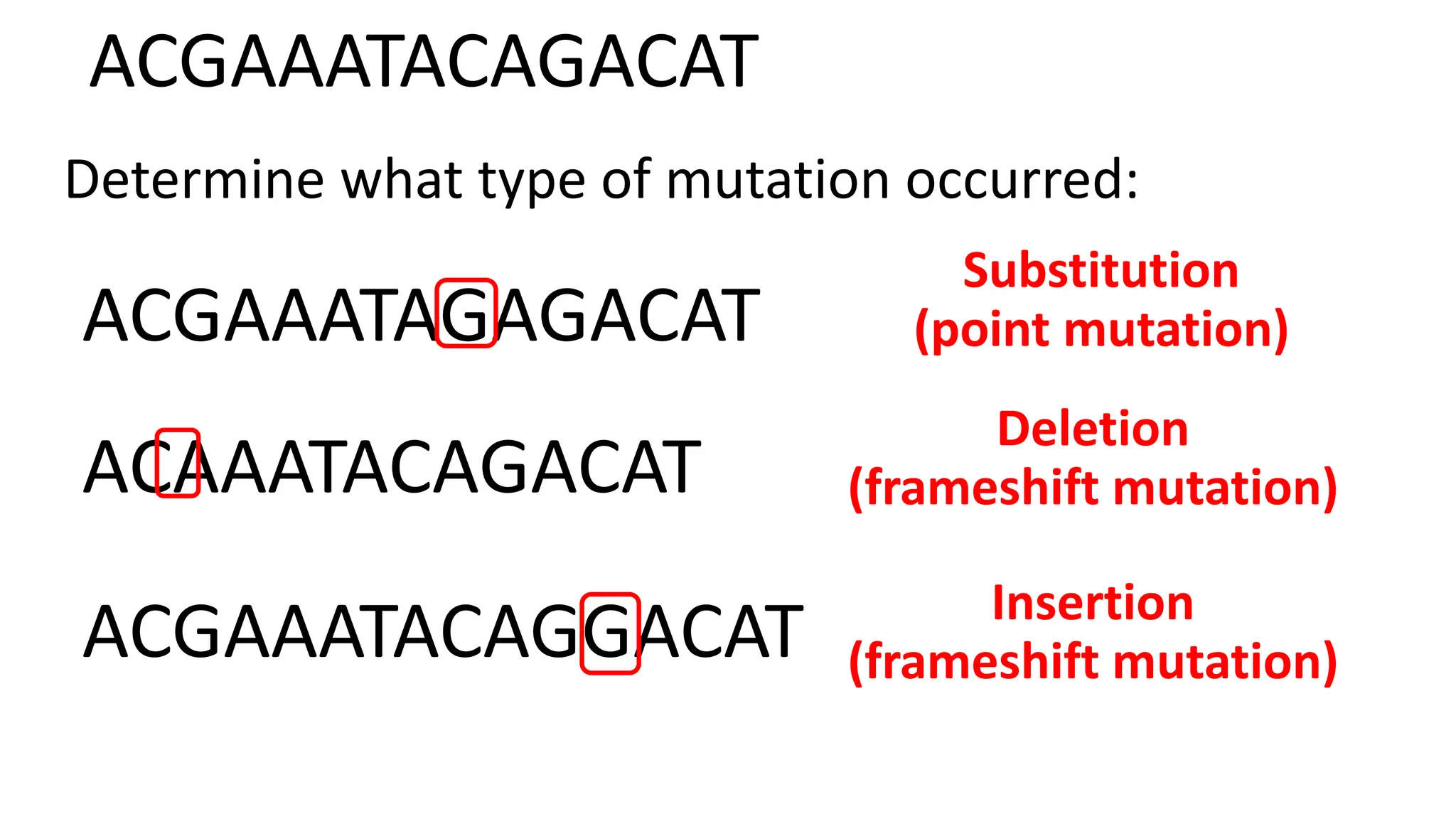 mutations ( types of mutation) point , missense , nonsense PPT
