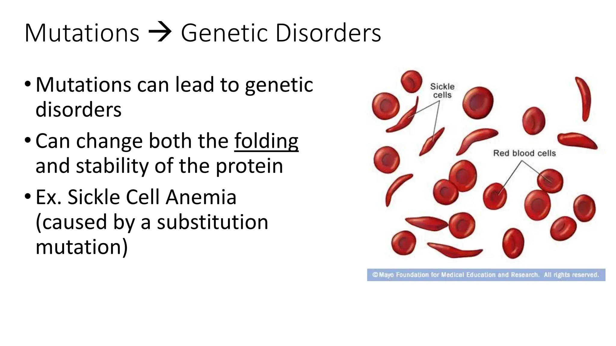 mutations ( types of mutation) point , missense , nonsense PPT