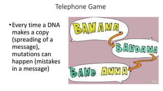 Telephone Game
•Every time a DNA
makes a copy
(spreading of a
message),
mutations can
happen (mistakes
in a message)
 