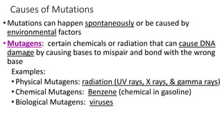 mutations ( types of mutation) point , missense , nonsense | PDF