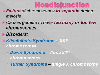  Failure   of chromosomes to separate during
  meiosis
 Causes gamete to have too many or too few
  chromosomes
 Disorders:
 Klinefelter’s Syndrome – XXY
  chromosomes
  › Down Syndrome – three 21st
    chromosomes
  › Turner Syndrome – single X chromosome
 