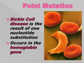  Sickle Cell
  disease is the
  result of one
  nucleotide
  substitution
 Occurs in the
  hemoglobin
  gene
 