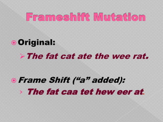  Original:

  The fat cat ate the wee rat.


 Frame  Shift (“a” added):
  › The fat caa tet hew eer at.
 