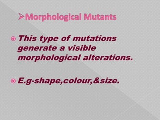  This
     type of mutations
 generate a visible
 morphological alterations.

 E.g-shape,colour,&size.
 
