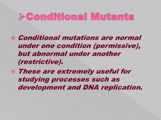  Conditional mutations are normal
  under one condition (permissive),
  but abnormal under another
  (restrictive).
 These are extremely useful for
  studying processes such as
  development and DNA replication.
 