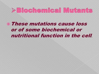  These  mutations cause loss
 or of some biochemical or
 nutritional function in the cell.
 