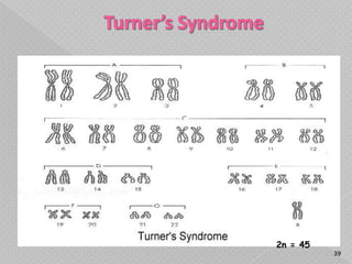 2n = 45
          39
 