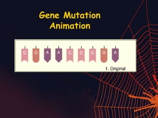 Mutations Powerpoint.ppt