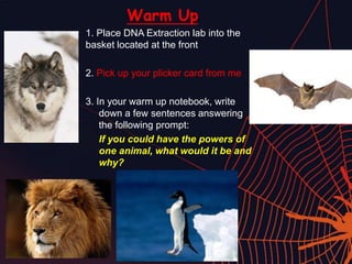 Warm Up
1. Place DNA Extraction lab into the
basket located at the front
2. Pick up your plicker card from me
3. In your warm up notebook, write
down a few sentences answering
the following prompt:
If you could have the powers of
one animal, what would it be and
why?
 