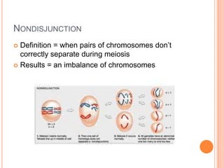 NONDISJUNCTION
 Definition = when pairs of chromosomes don’t
  correctly separate during meiosis
 Results = an imbalance of chromosomes
 