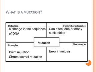 WHAT IS A MUTATION?



 a change in the sequence   Can affect one or many
 of DNA                     nucleotides


                   Mutation

 Point mutation             Error in mitosis
 Chromosomal mutation
 