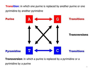 Mutations- Definition, Types with examples | PDF