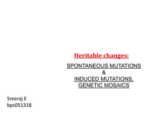 Heritable changes: 
SPONTANEOUS MUTATIONS 
& 
INDUCED MUTATIONS, 
GENETIC MOSAICS 
Sreeraj E 
bps051318 
 
